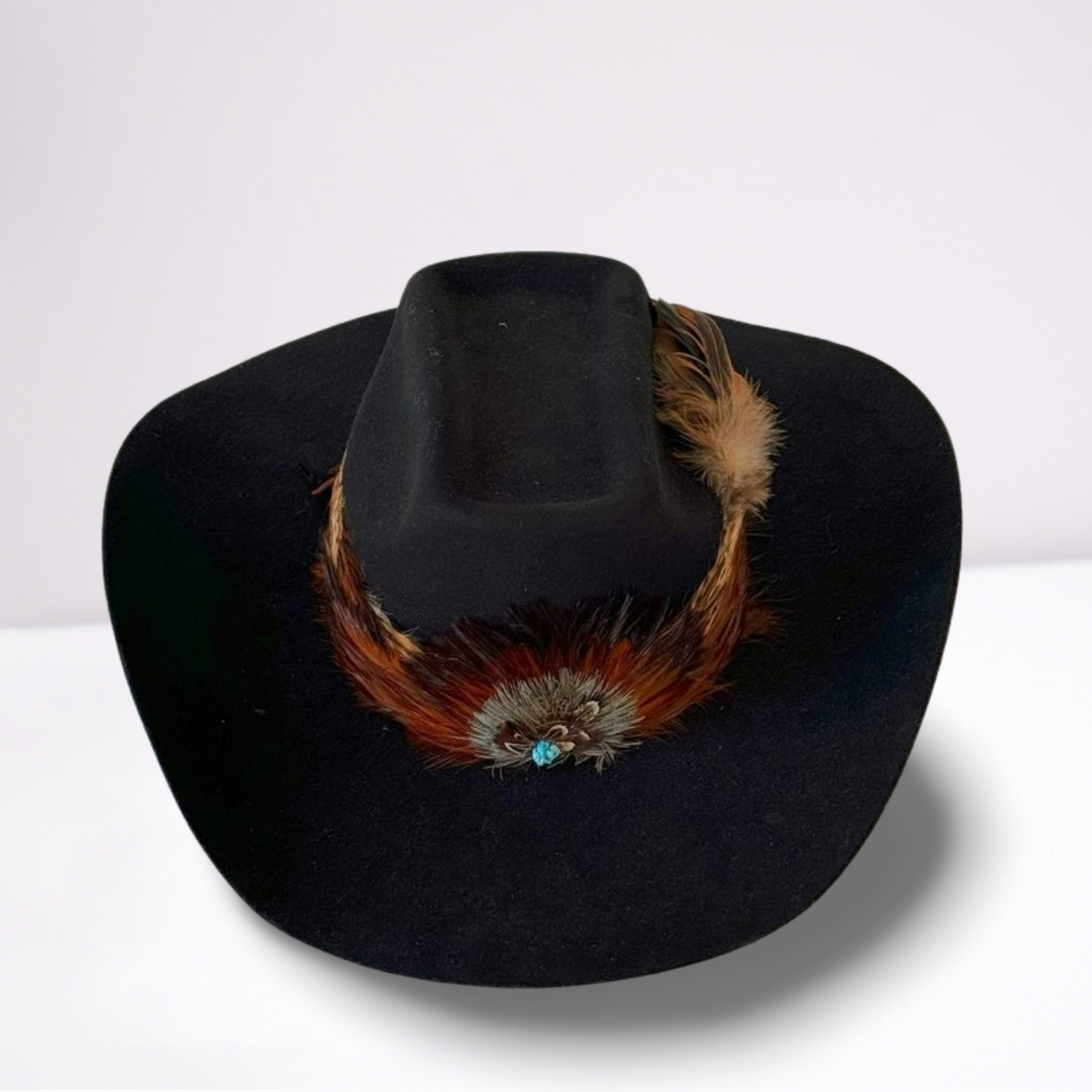 Double Feather Band Cowboy Hat